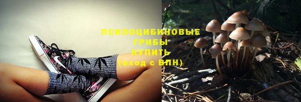 стаф Алексеевка
