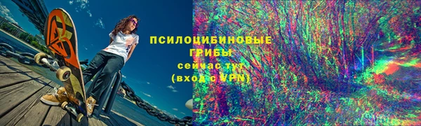 крисы Алзамай