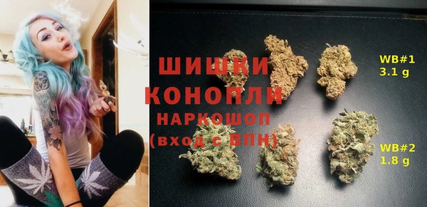 крисы Алзамай