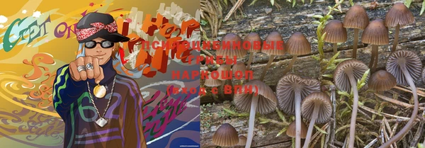 крисы Алзамай