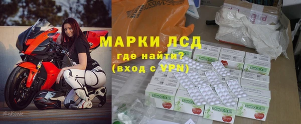 крисы Алзамай